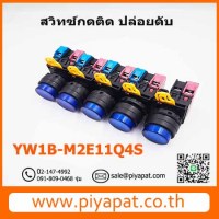 YW1L - M2E11Q4Sรูปโชว์